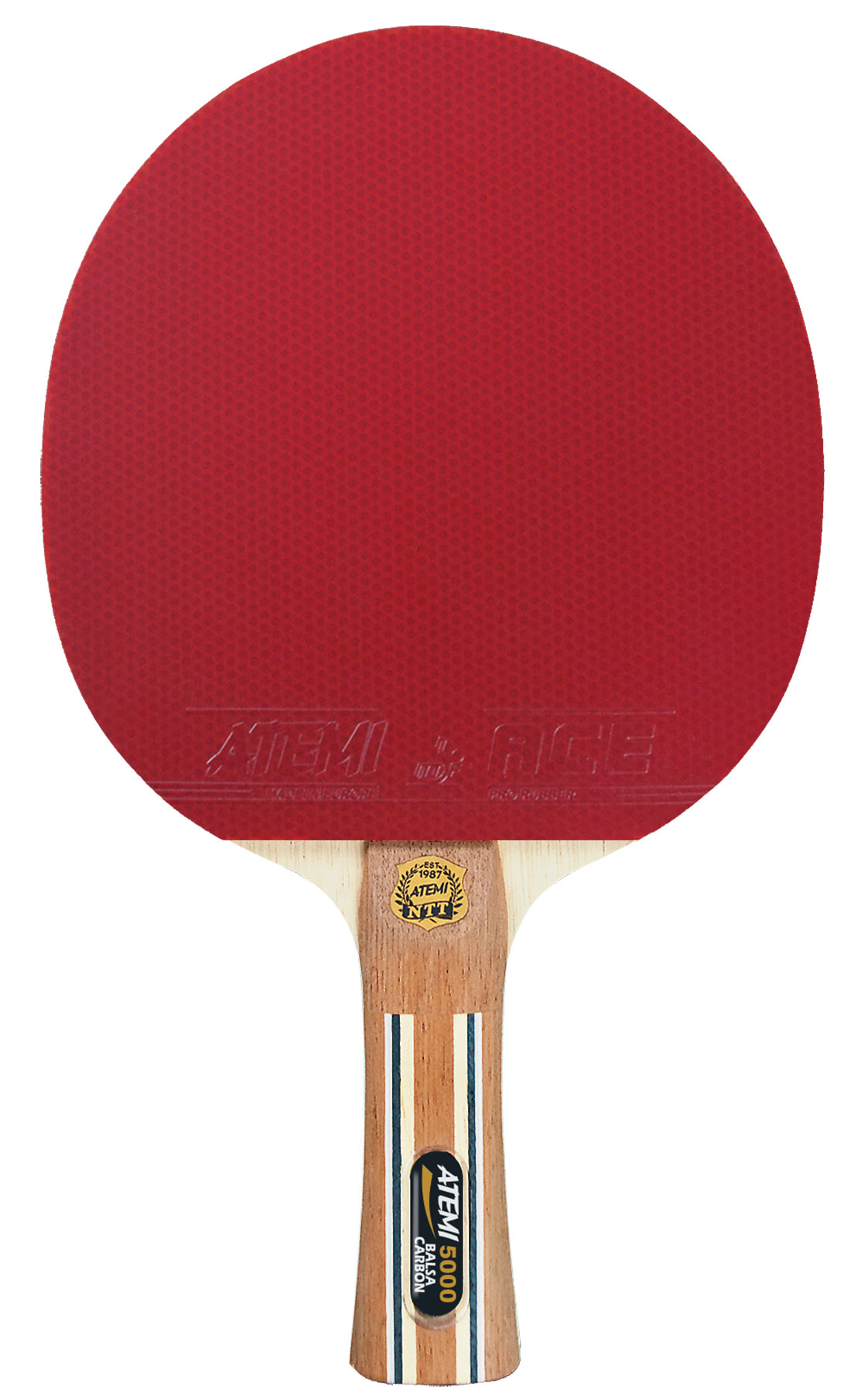     Atemi Pro 5000 AN