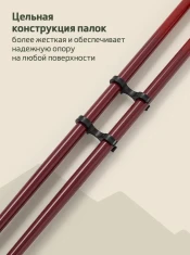 Палки для скандинавской ходьбы BERGER Travel Forest, 106 см, цельные, красный- фото3